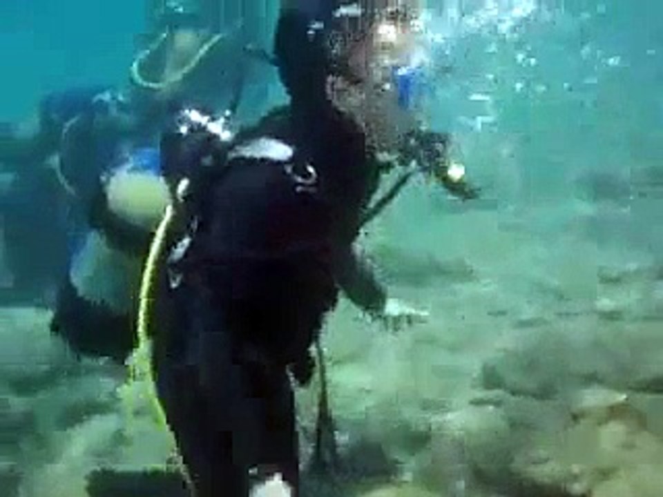 lovely video