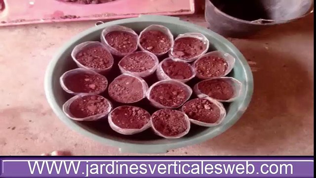 Mi jardin vertical hecho con botellas de plastico