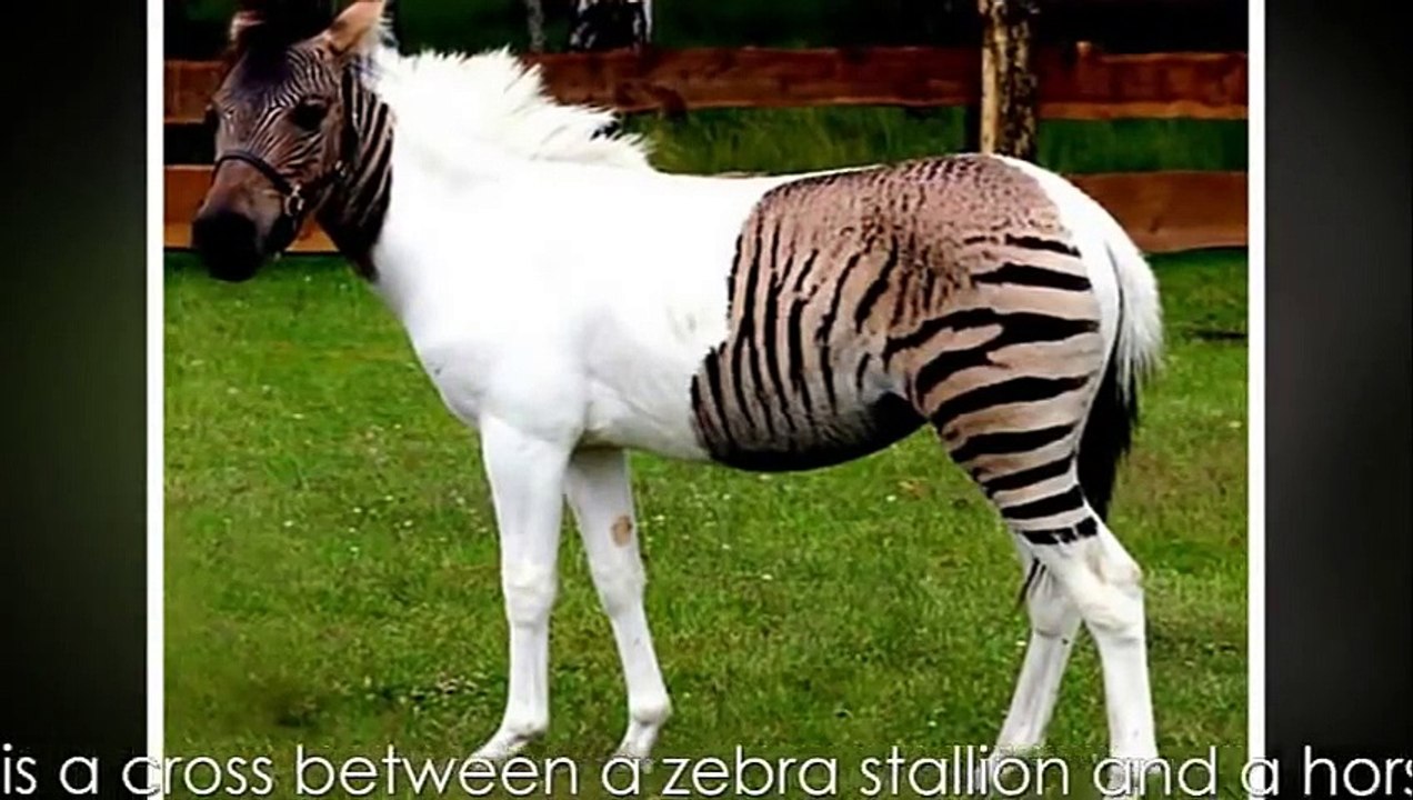 10 Images You Won't Believe Weren't Photoshopped