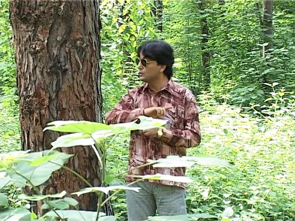 Chaper Chal Promo
