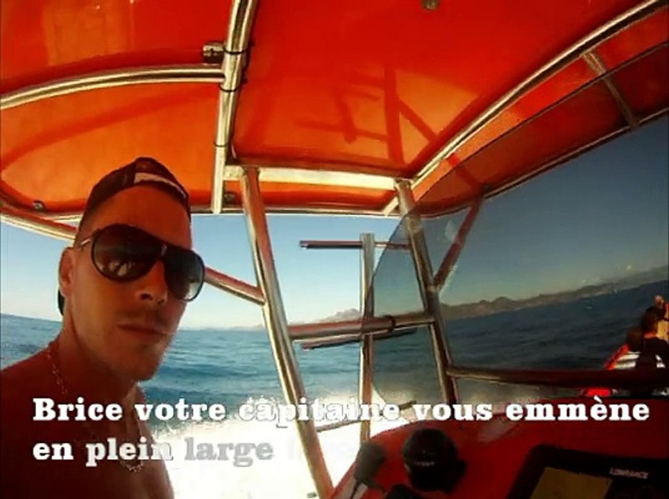 Nage avec les Dauphins demi-journée 31 juillet 2014 - Bateau Annett à Cannes – Mandelieu en France