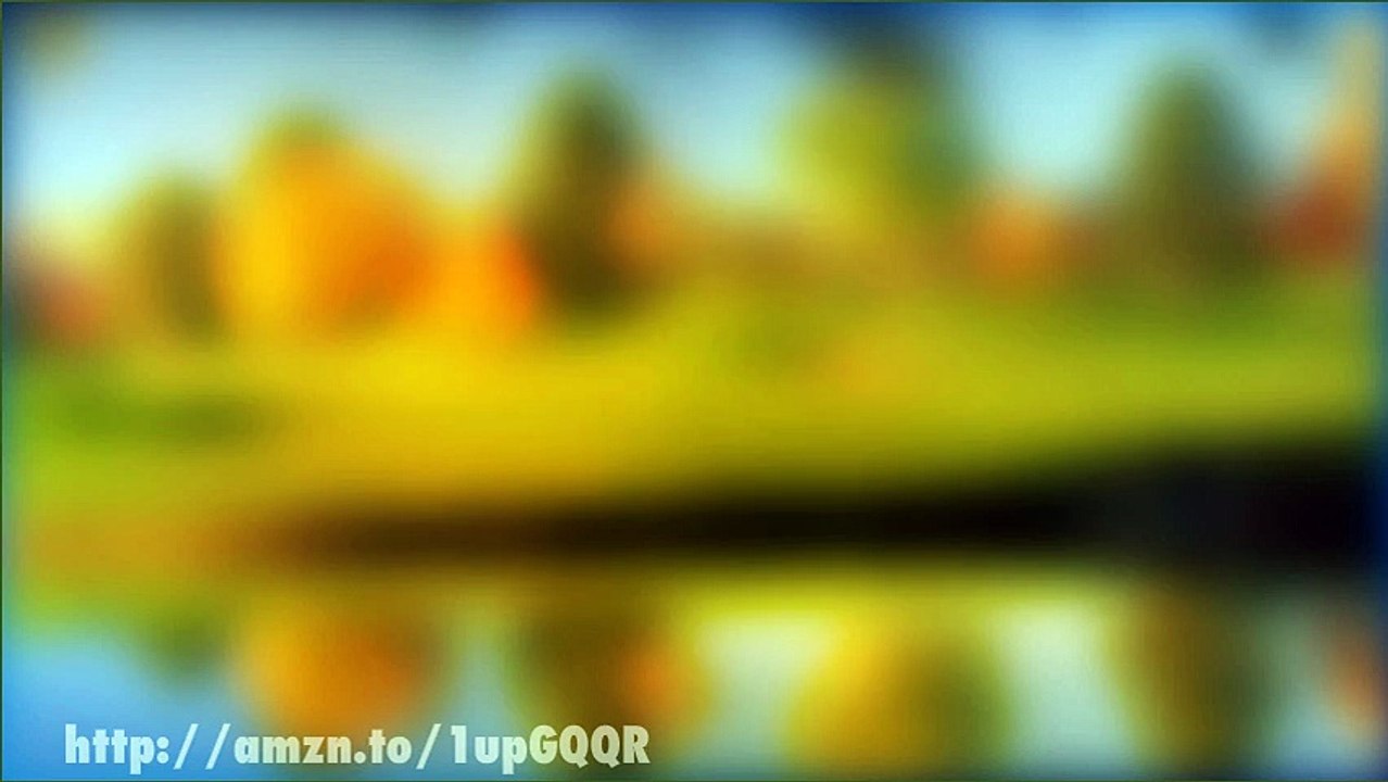 Some Good Reasons To Invest In The GoPro Hero 4 -  GoPro HERO4 Black Reviews