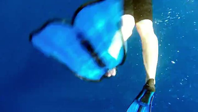 Nager avec les Dauphins 14 juillet 2014 - Bateau Annett à Cannes – Mandelieu en France