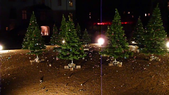 Les Sapins-derviches, Roman Signer, Château des ducs de Bretagne, Nantes, 2014