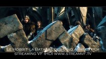 Voir Le Hobbit  3 en streaming VF HD