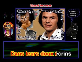 Adamo - Quand les roses.