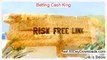 Betting Cash King Download eBook Free of Risk - unbiased reviews