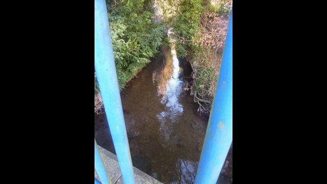 YVES MARCHAL : Por si las moscas (Scène des Rocs, Audregnies, 2013)