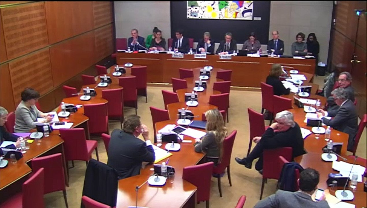 Intervention de Christophe Castaner dans l'audition du 10 décembre 2014, deMathieu Gallet, PDG de Radio France