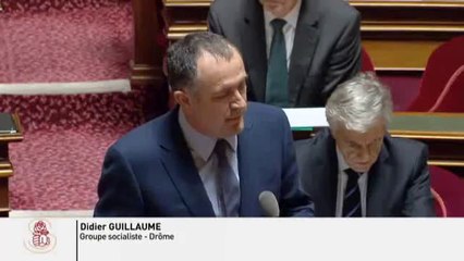 QAG de Didier Guillaume du 11 decembre 2014