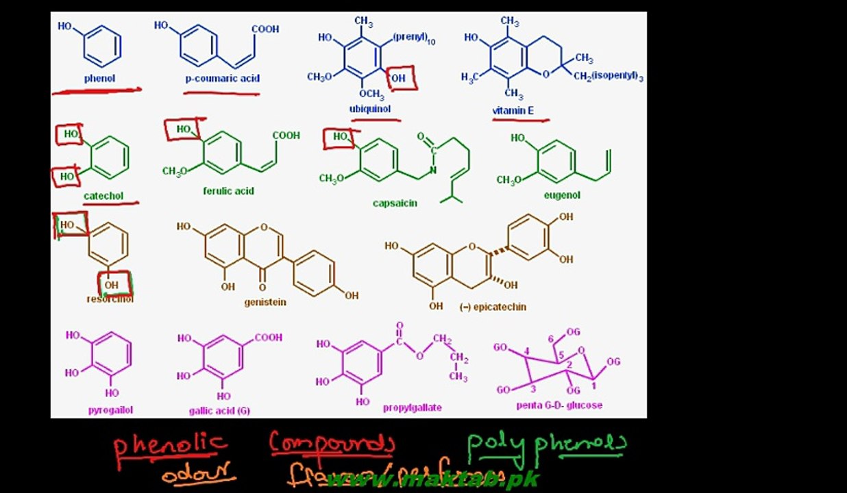 FSc Chemistry Book2, CH 11, LEC 9 Introduction and Preparation - Phenols (Part 1)