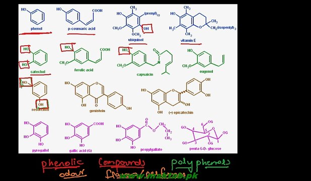 FSc Chemistry Book2, CH 11, LEC 9 Introduction and Preparation - Phenols (Part 1)