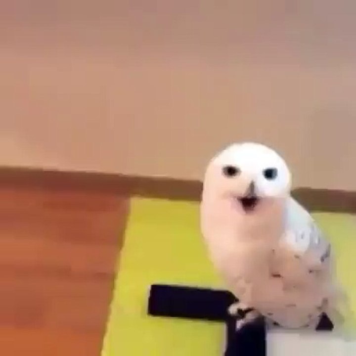 Kinda scary