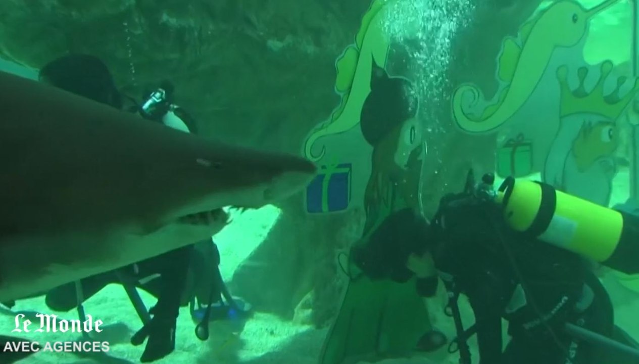 Au zoo de Madrid, une crèche au milieu des requins