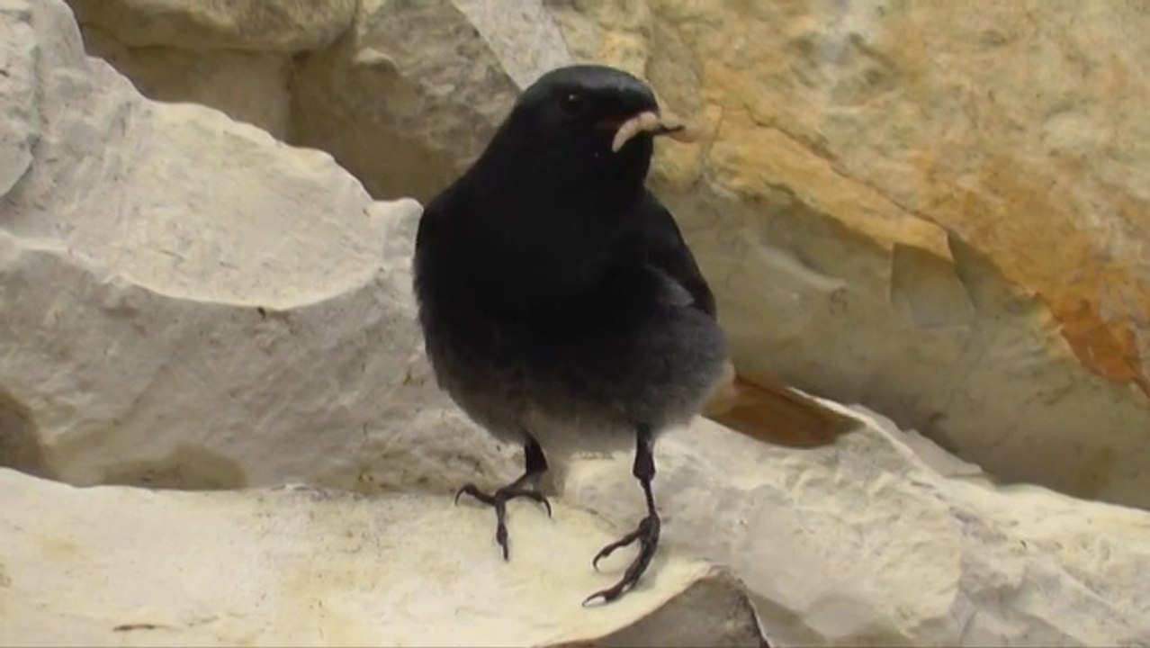 Séjour en Poitou-Charentes