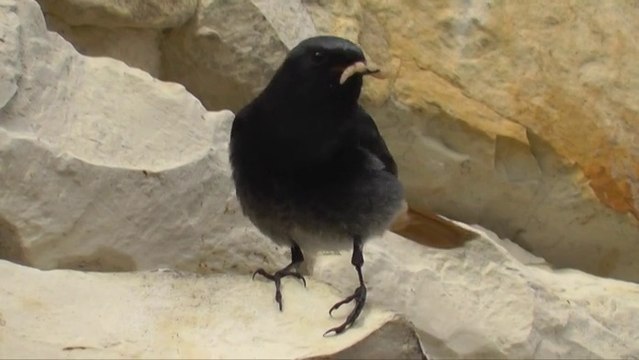 Séjour en Poitou-Charentes