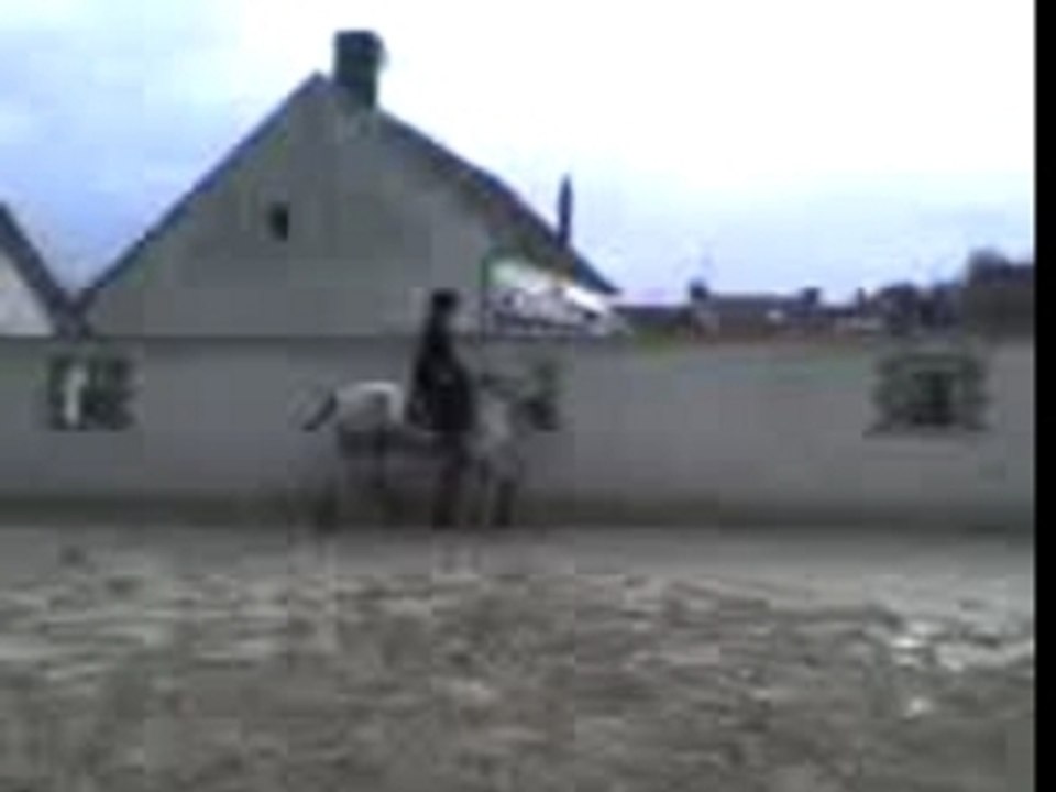 MOV00001