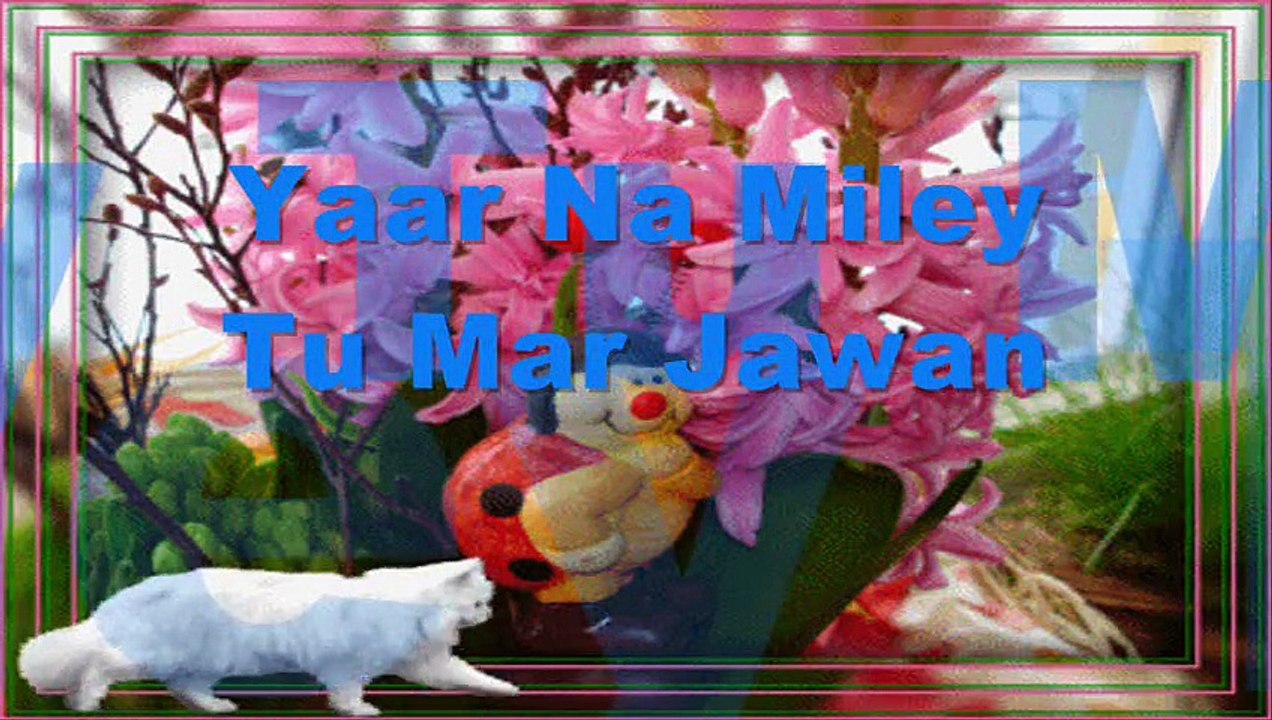 Yaar Na Mile Tu ... Super Cat
