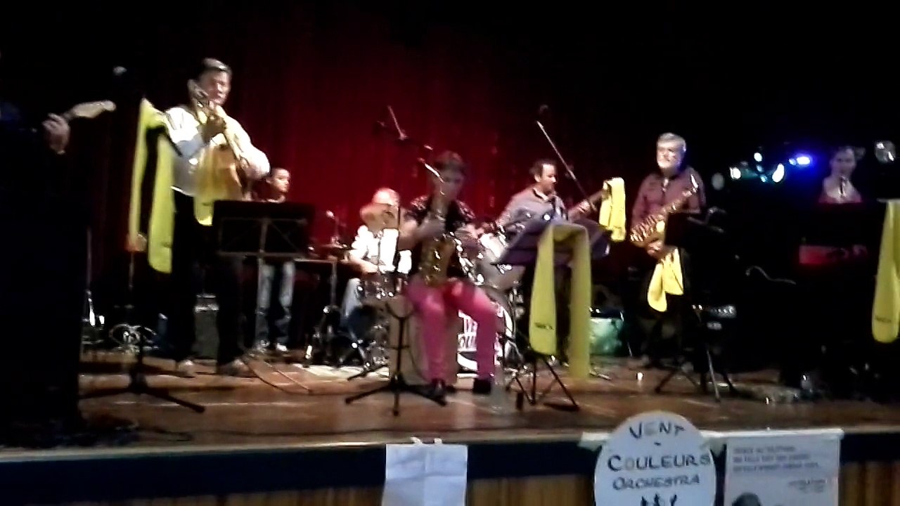 Vent Couleurs Orchestra - "petite fleur".