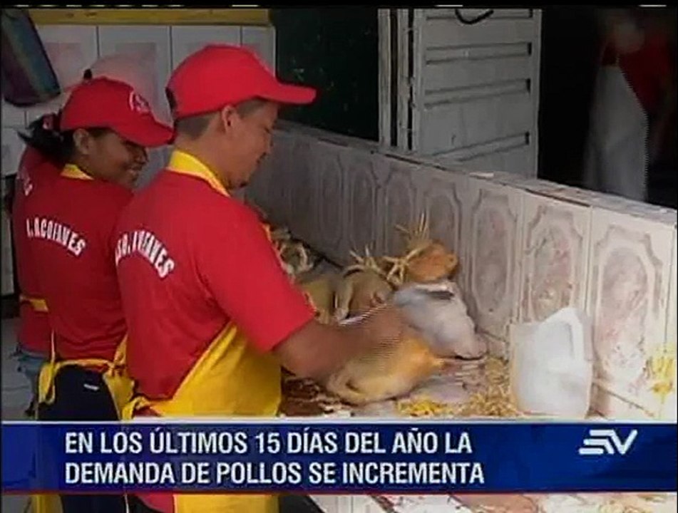 Criaderos de pavos y pollos listos para alta demanda navideña