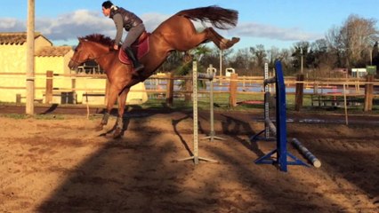 Maestro Champeix Par Bayard D'Elle 6ans