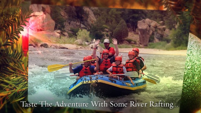 Asheville Bed and Breakfast Reviews