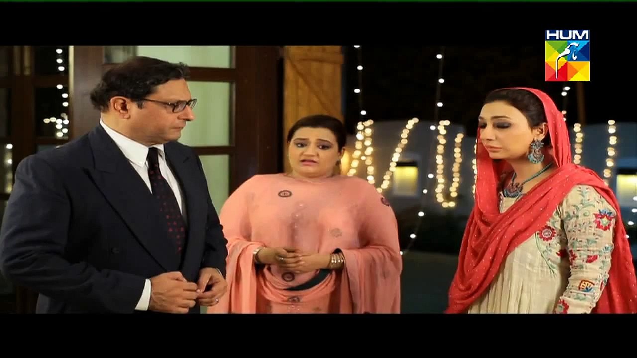 Mehram Episode 13 Full HUM TV
