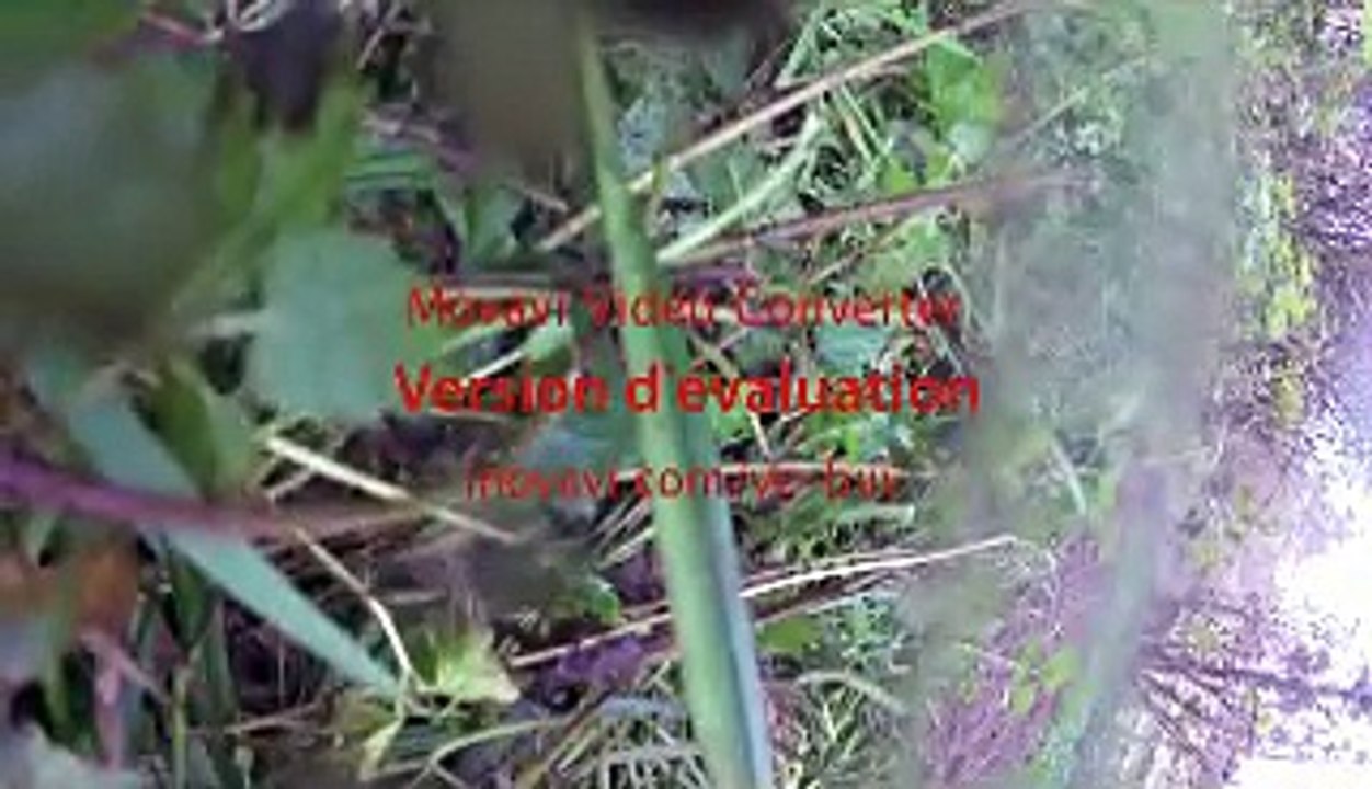 VTT souvigné