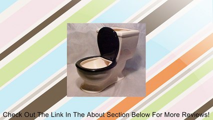 Dog Toilet Bowl Water Dish Review