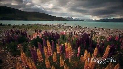 (Tristeria) Musica New Age, Celta, Instrumental...