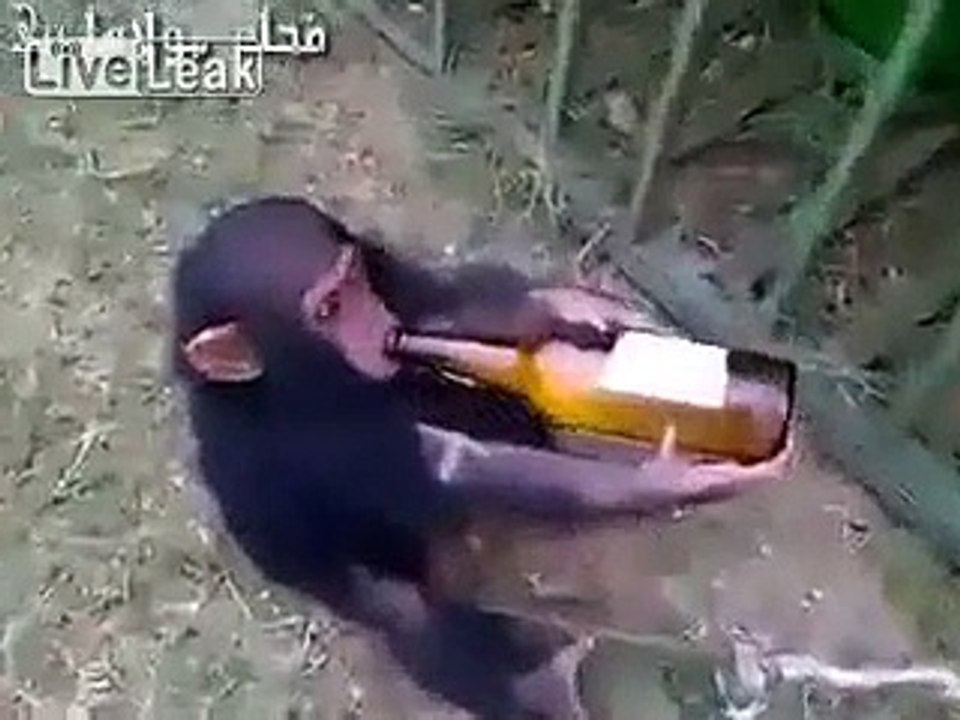 monky