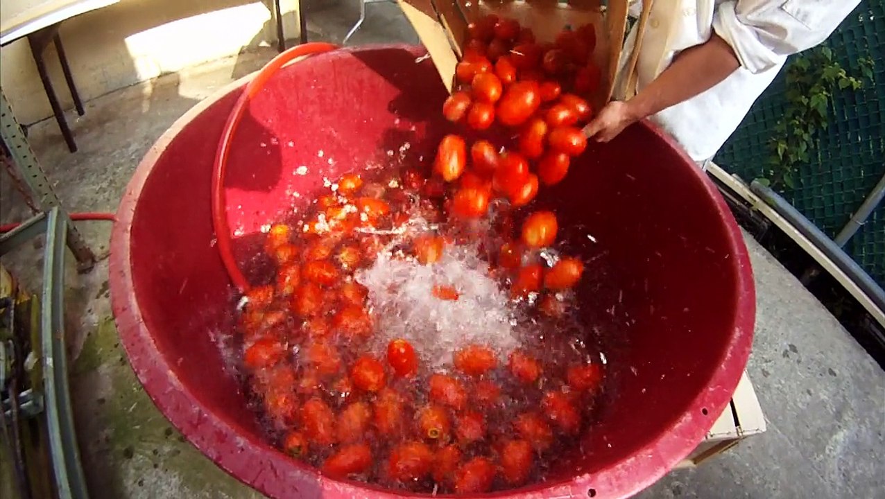 Tomatoe Sauce