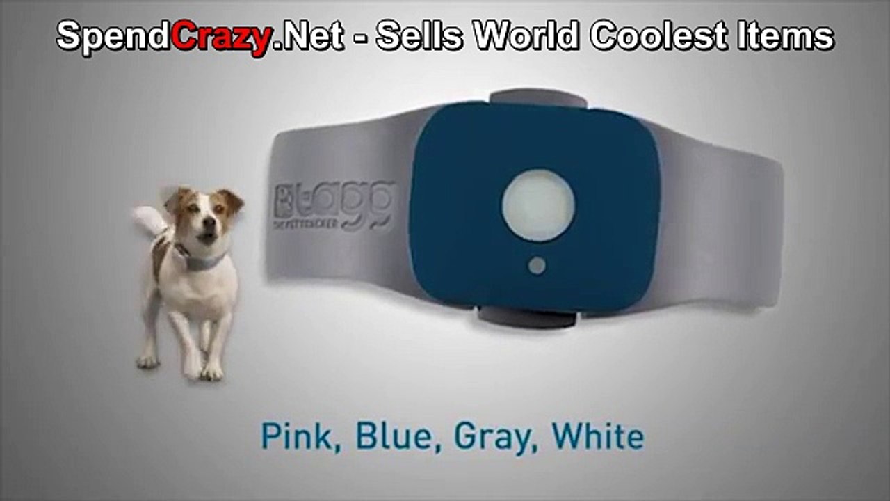 GPS Pet Collar