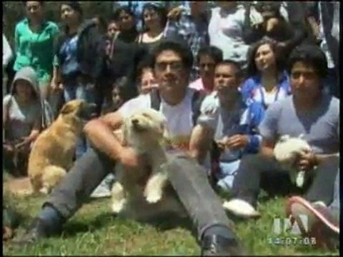 Albergue recoge y habilita mascotas abandonadas