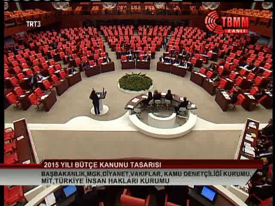 GÜLSER YILDIRIM 11.12.2014 MECLIS KONUSMASI: