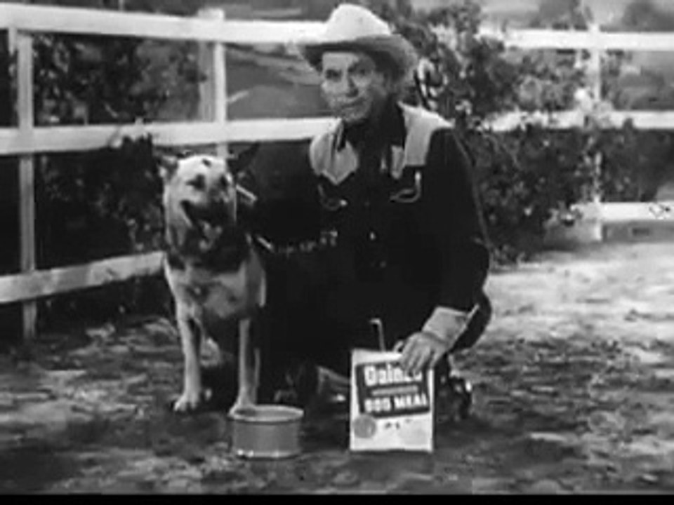 VINTAGE 1950s GAINES MEAL DOG FOOD COMMERCIAL, SUPPOSEDLY WITH BULLET ~ ROY ROGERS DOG