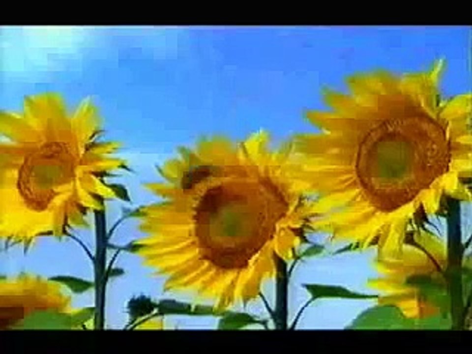 Weetabix - Bee (2000, UK)