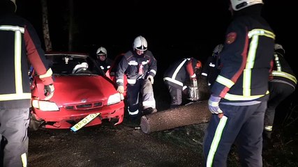 Beelden: Auto rijdt tegen omgewaaide boom in Mussel - RTV Noord