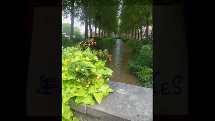 GR 129 : entre Ath et Ellezelles (pays des Collines), Belgique