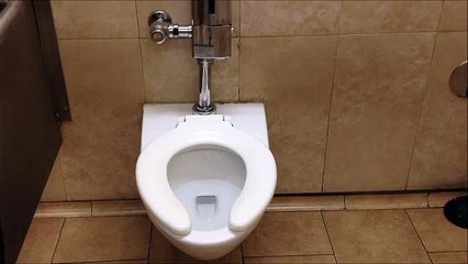 (25 Days of Christmas 2014) BTR Short- Toto wall toilet