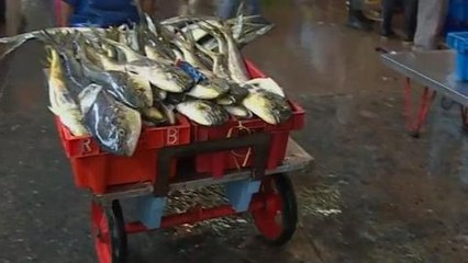 Changing ocean chemistry threatens eco-system