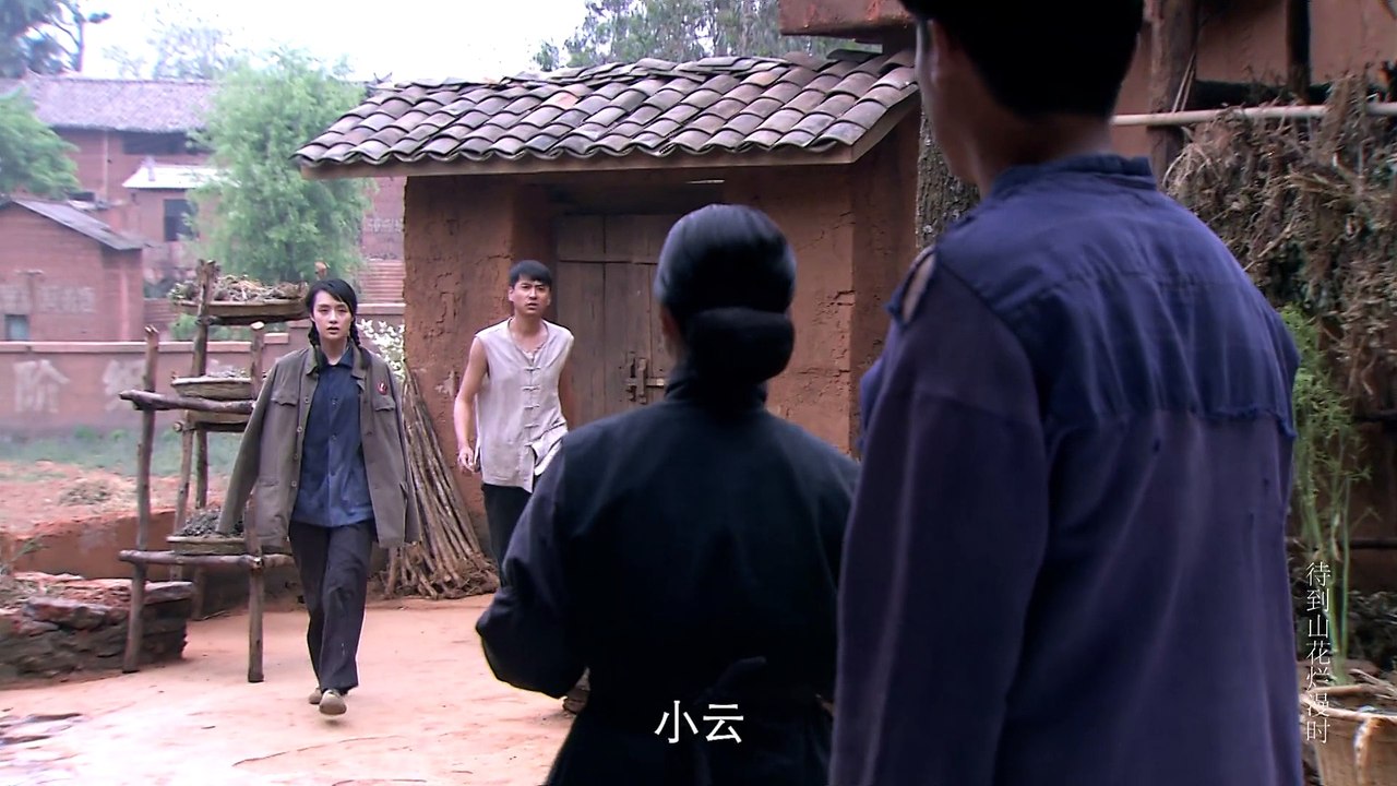 待到山花烂漫时07【超清720p】【超清720p】