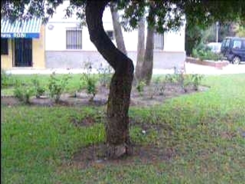 ostia aciendo 360º