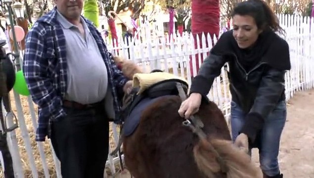 MICHOU W-D.D. PRÉSENTE - 9 DÉCEMBRE 2014 - PAU - NOËL ANGLAIS - BALADES EN PONEY AU VILLAGE ENCHANTÉ.