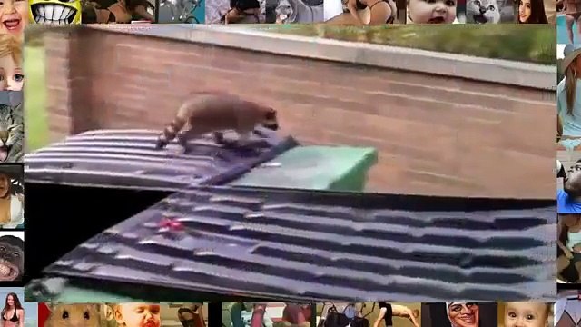 TOP Fail Compilation 2014 best fail compilation 2014 Funny epic win fails new January Videos HD 10