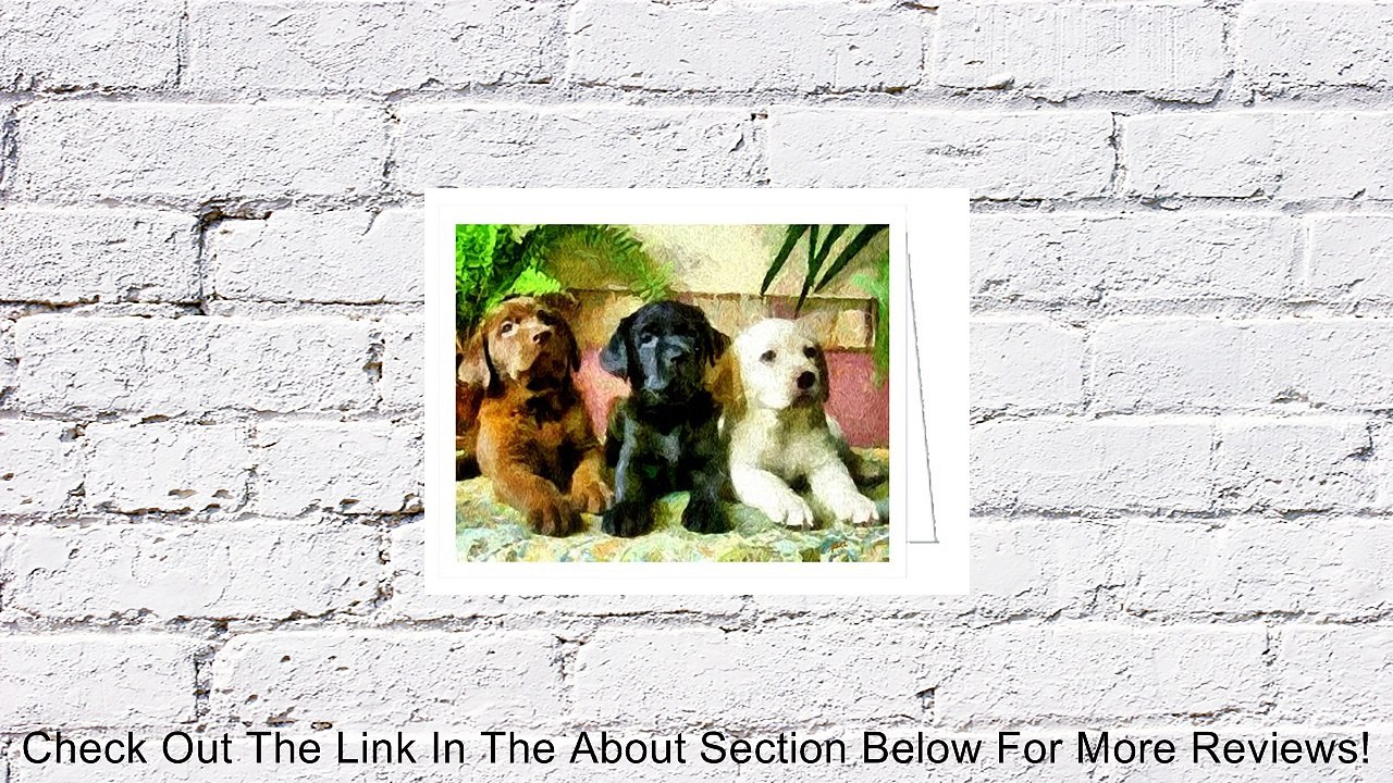 Labrador Pups Trio Note Cards - Set of 6 With Envelopes Review