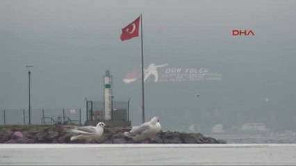 Çanakkale Gökçeada'ya Ulaşıma Fırtına Engeli