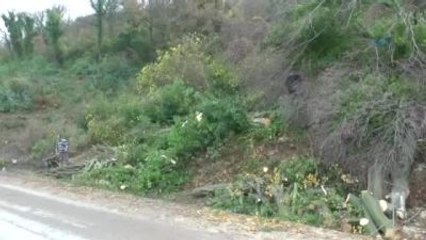 Kışlık Yakacaklarını Yol Çalışmasından Sağlıyorlar