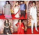 Celebrities at The Red Carpet of Zee Rishtey Awards (December 2014)