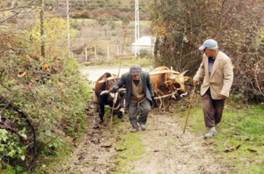 İki Oğlunu Traktör Kazasında Kaybeden Baba, Teknolojiyi Reddediyor